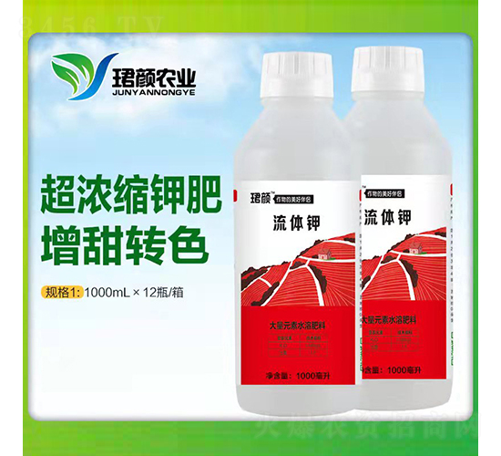 ���w�-�B��r�I(y��)