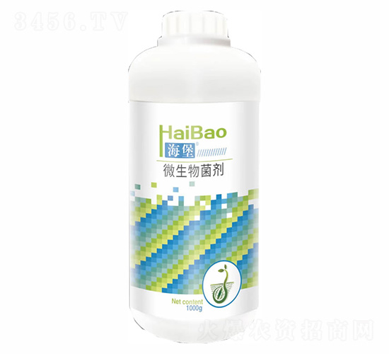 ����΢�������-������