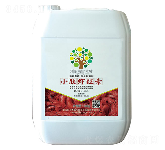 С���r�t��-��ֲ��