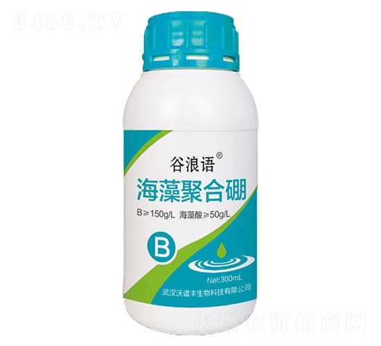 ����ۺ���-�����Z-���V�S����