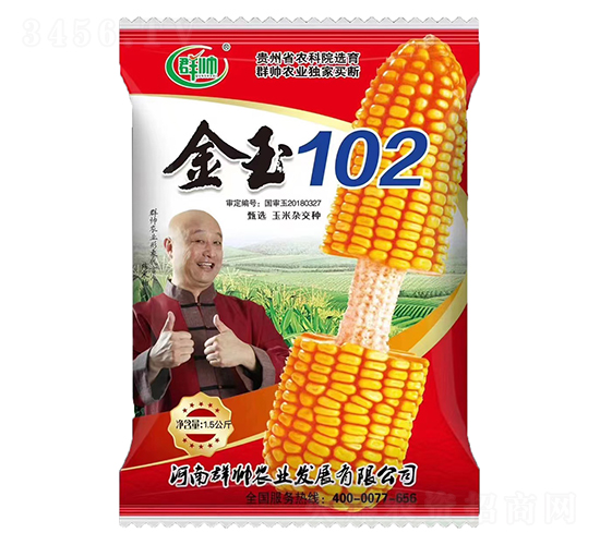 玉米種子-金玉102-群帥