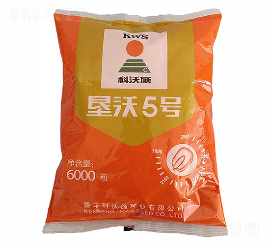 ����5̖���׷N��-����ʩ-����r(n��ng)�I(y��)