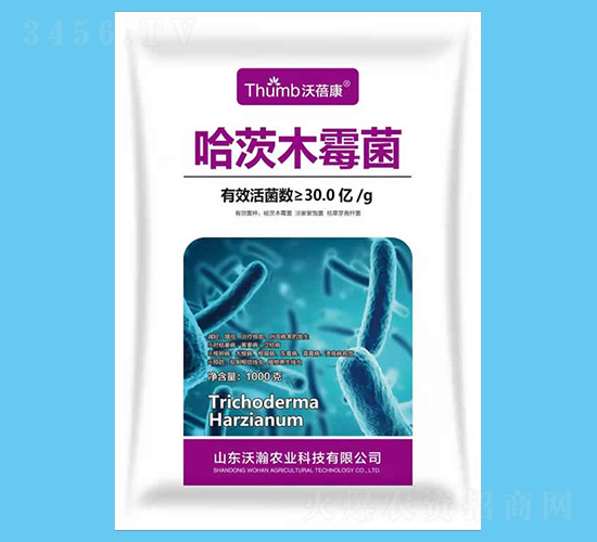 ����ľù����30�|�����-������-����r�I(y��)