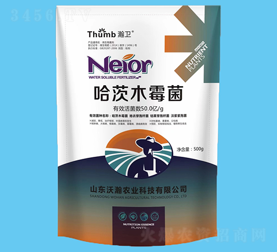 ����ľù����50�|�����-��l(w��i)-����r�I(y��)