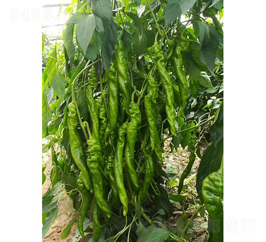 �A��105�⽷�N��-�A���r(n��ng)�I(y��)