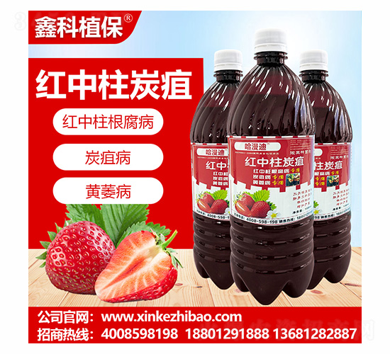 �t����̿���`-�ο�ֲ��