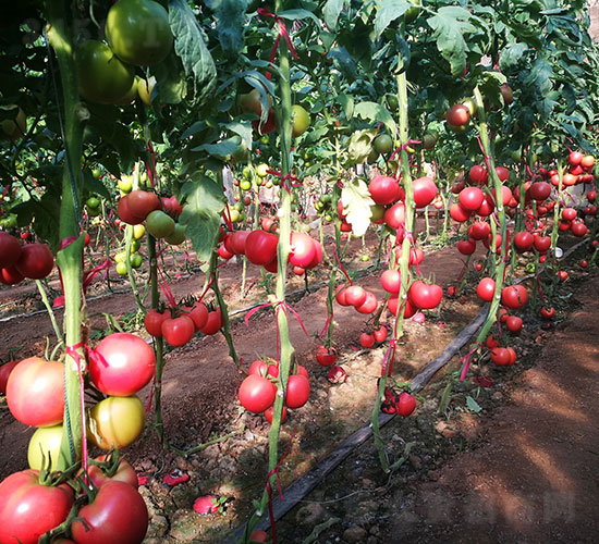 �A��168��PT2018�����ѷN��-�A���r(n��ng)�I(y��)