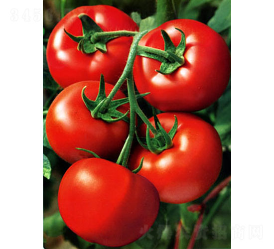 �t�\��RT2008�����ѷN��-�A���r(n��ng)�I(y��)