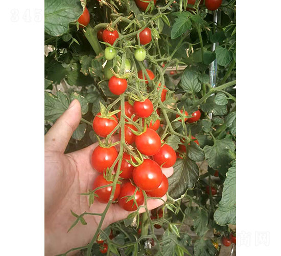 �ᭇ��CT2001�����ҷ��ѷN��-�A���r(n��ng)�I(y��)