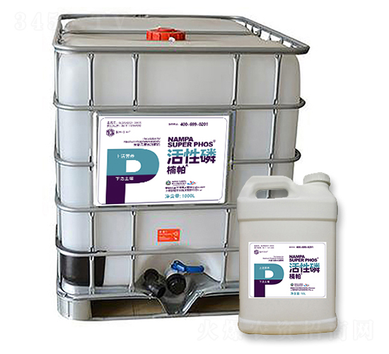 �����������-����