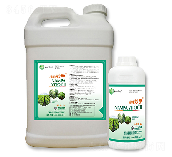 �������-����