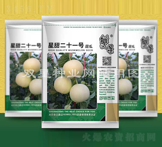 星甜二十一號-甜瓜種子-雙星種業(yè)