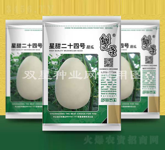 �����ʮ��̖-��ϷN��-�p�ǷN�I(y��)