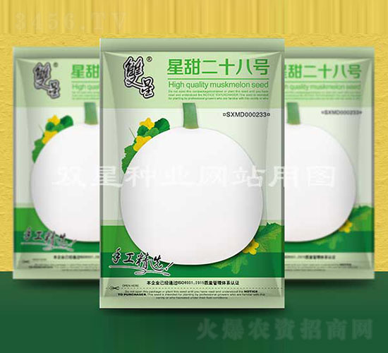 星甜二十八號-甜瓜種子-雙星種業(yè)