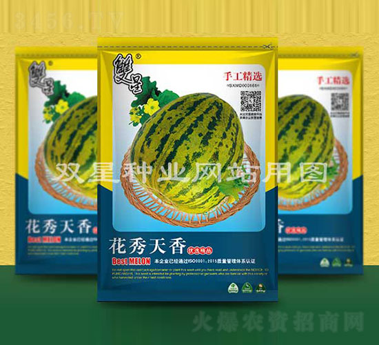 花秀天香-甜瓜種子-雙星種業(yè)