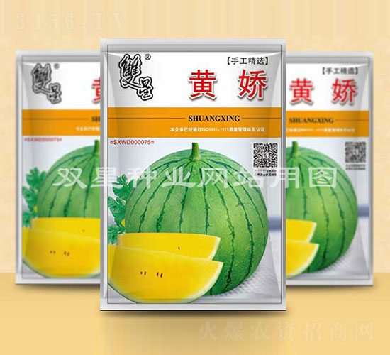 黃嬌-西瓜種子-雙星種業(yè)