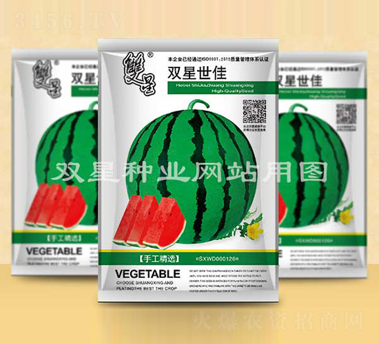 雙星世佳-西瓜種子-雙星種業(yè)