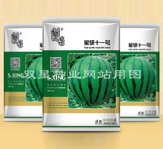 星研十一號-西瓜種子-雙星種業(yè)