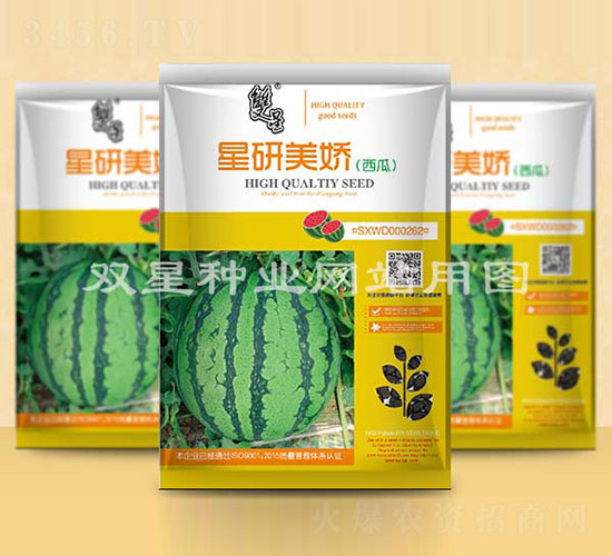 星研美嬌-西瓜種子-雙星種業(yè)