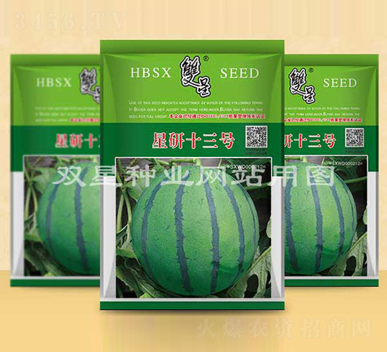 星研十三號-西瓜種子-雙星種業(yè)