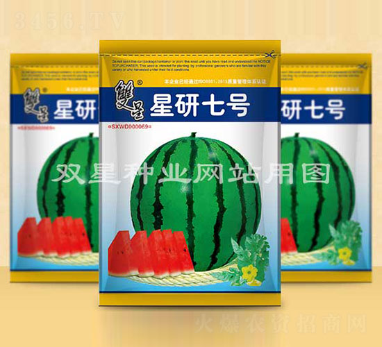 星研七號-西瓜種子-雙星種業(yè)