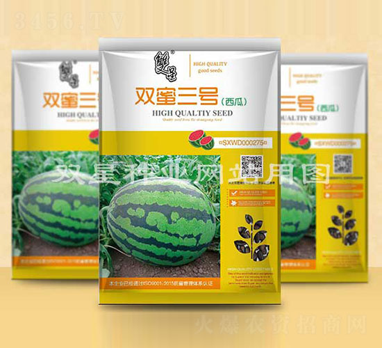 雙蜜三號-西瓜種子-雙星種業(yè)