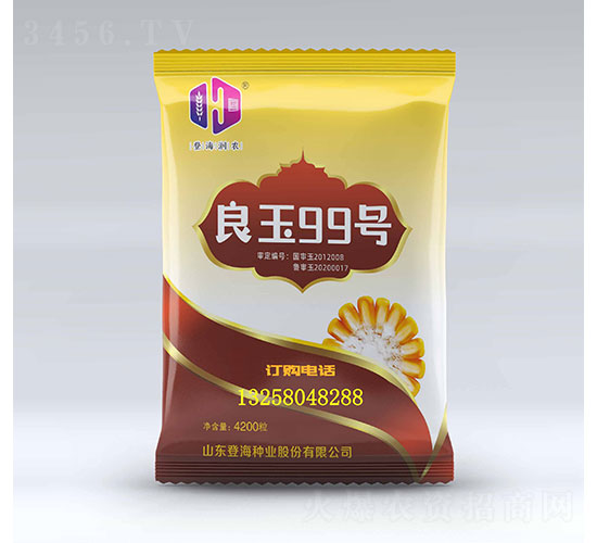 ����99-���׷N��-�Ǻ����r(n��ng)