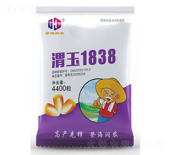 μ��1838-���׷N��-�Ǻ����r