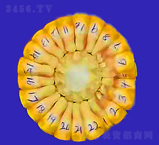 ���\(ch��ng)6-���׷N��-�Ǻ���(r��n)�r(n��ng)