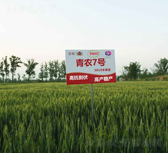 ���r7̖-С���N��-�Ǻ����r