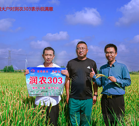 ��(r��n)�r(n��ng)303-ˮ���N��-�Ǻ���(r��n)�r(n��ng)