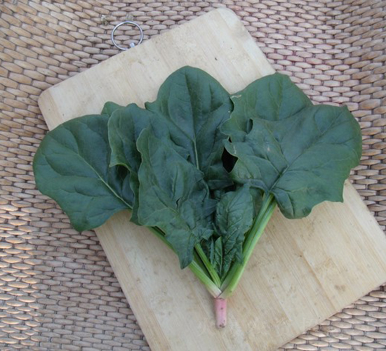 �ľG-���˷N��-�A���N��