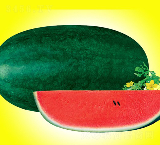 ������-���ϷN��-�A���N��