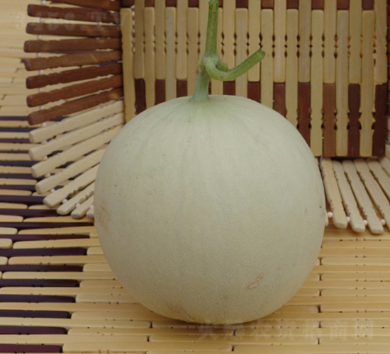 甜王-甜瓜種子-華美種苗