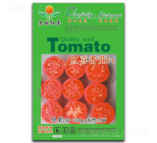 ���t���N��-�tϲ����F1-���J�tϲ