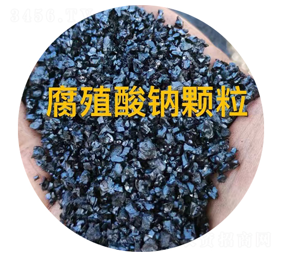 ��ֳ���c�w��-��������