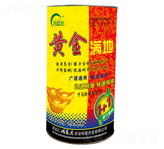 黃金滿地-鴻盛達