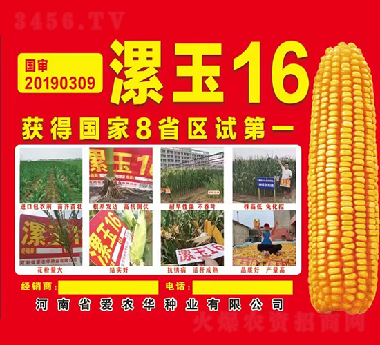 漯玉16-玉米種子-愛(ài)農(nóng)華種業(yè)