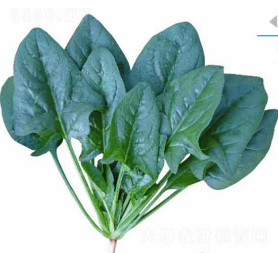 �w������688-���˷N��-�V��