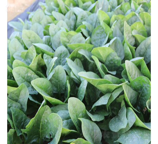 �r(sh��)��-���˷N��-�V��