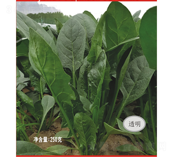 �¼oԪ����-���˷N��-�V��