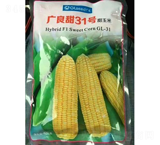 �V����31̖-���׷N��-�V��