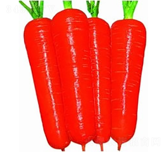 ������3̖(h��o)�s���ߴ���}��-���}���N��-�V��