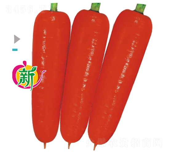 ����F1����29-2���}��-���}���N��-�V��