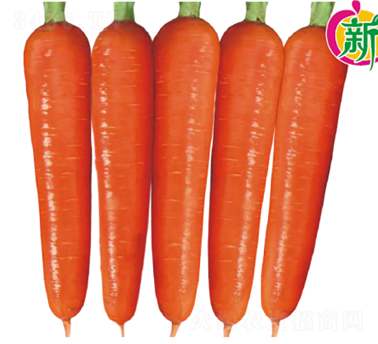 ��ϼ1̖(h��o)���}��-���}���N��-�V��