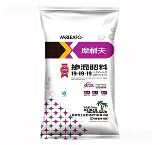 �������19-19-19-Ħ����-���ϻ���