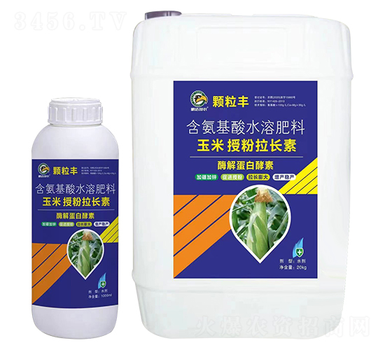 玉米授粉拉長素-顆粒豐-鵬達邦農(nóng)