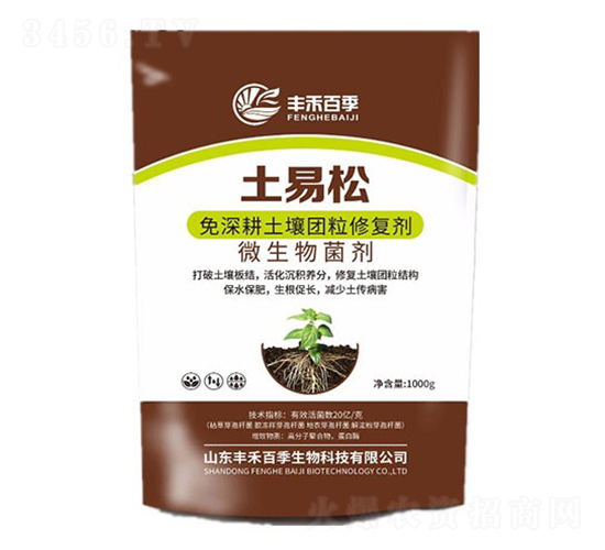 ����������F���ޏ̈́�-������-�Aï�r�I(y��)