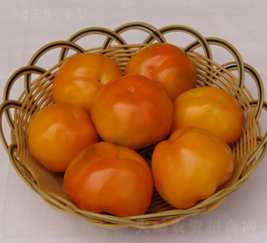 �S�{˹-�𽷷N��-�A���N��