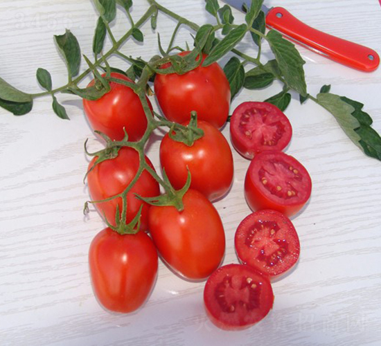 D1540-�ӹ����ѷN��-�A���N��